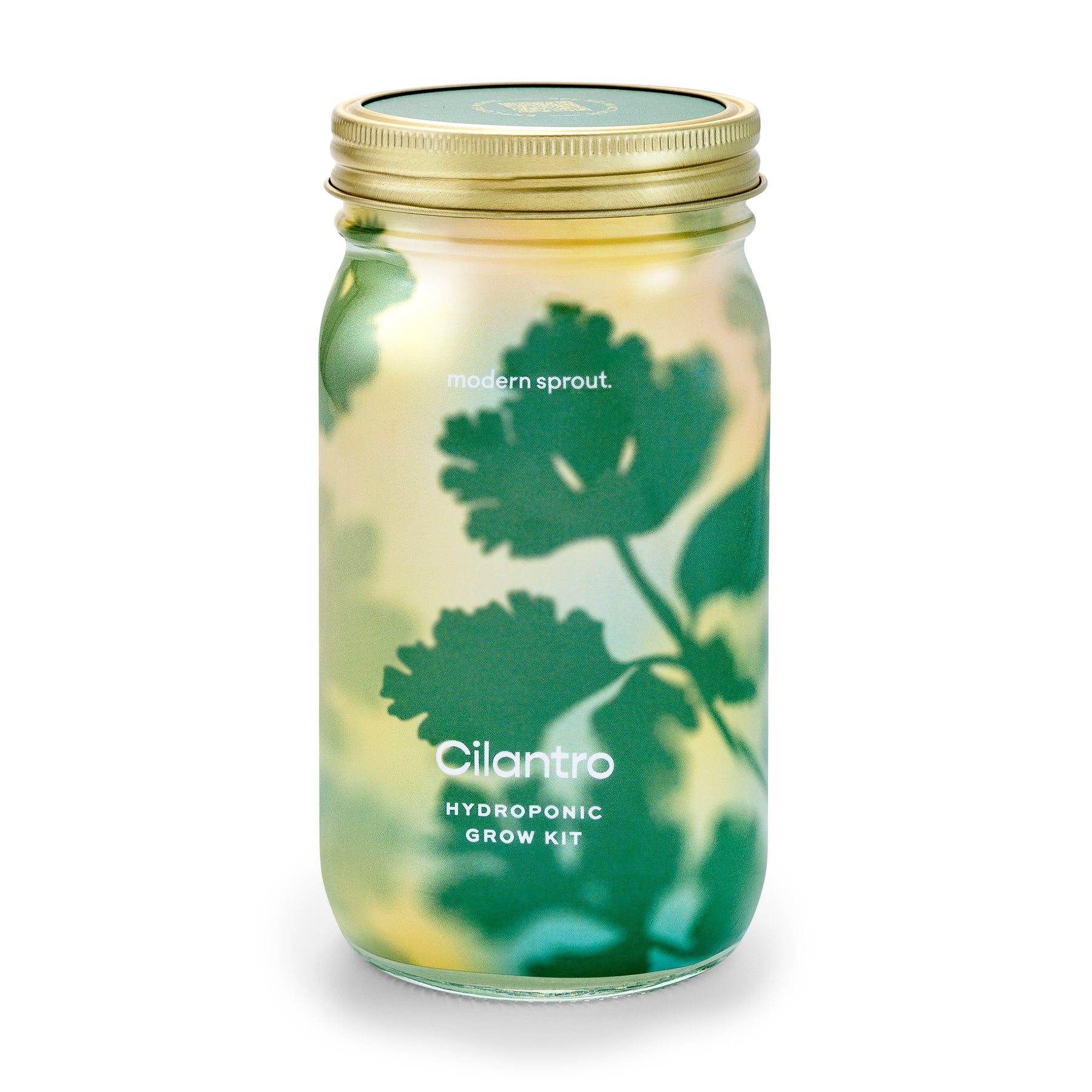 Garden Jars - Organic Herbs